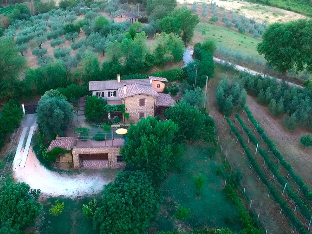 Casale San Pietro Bed & Breakfast Otricoli Bagian luar foto