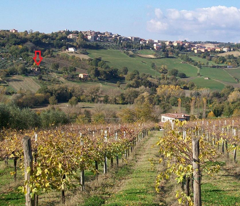 Casale San Pietro Bed & Breakfast Otricoli Bagian luar foto